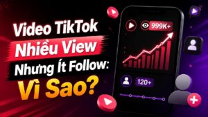 Video TikTok Nhiều View Nhưng Ít Follow: 5 Nguyên Nhân Cần Kiểm Tra