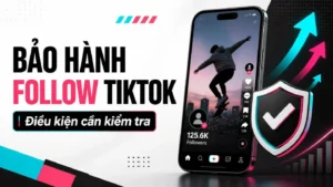 Bảo hành follow TikTok và các điều kiện cần kiểm tra