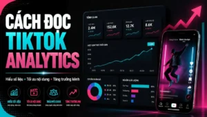 Bảng TikTok Analytics với lượt xem, tương tác, nguồn lưu lượng và biểu đồ khán giả.