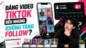 Đăng video TikTok đều nhưng không tăng follow